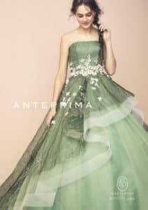 ant0205gr i